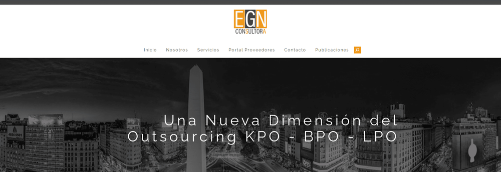 EGN Consultant cover