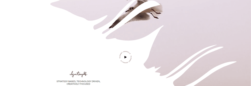 Elegant Seagulls cover