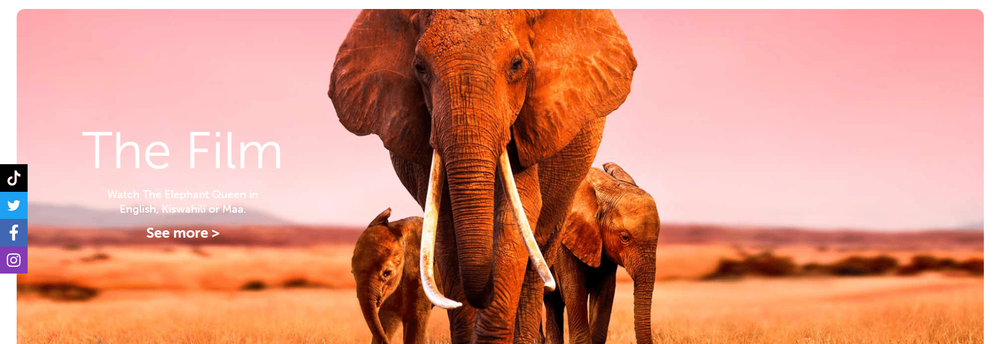 Elephant Tech cover