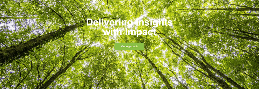 Elevated Insights cover