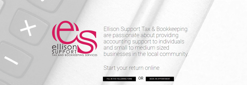 Ellison Support cover