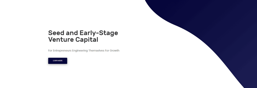 Emergent Ventures cover