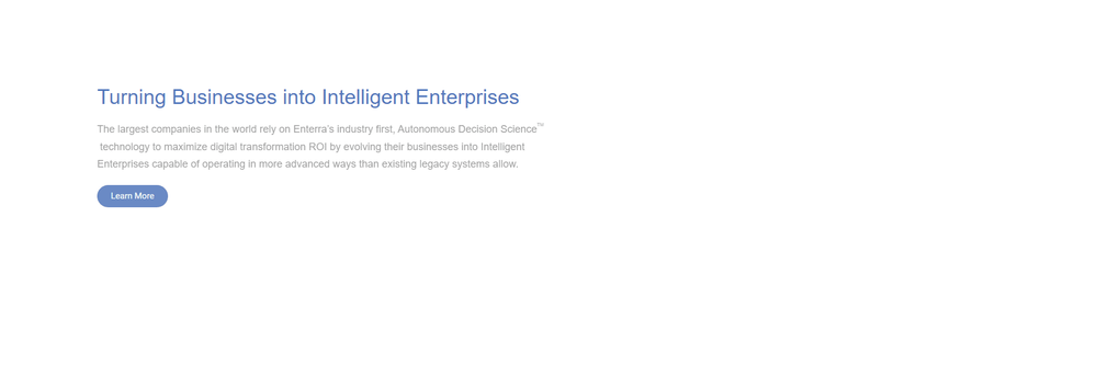 Enterra Solutions cover