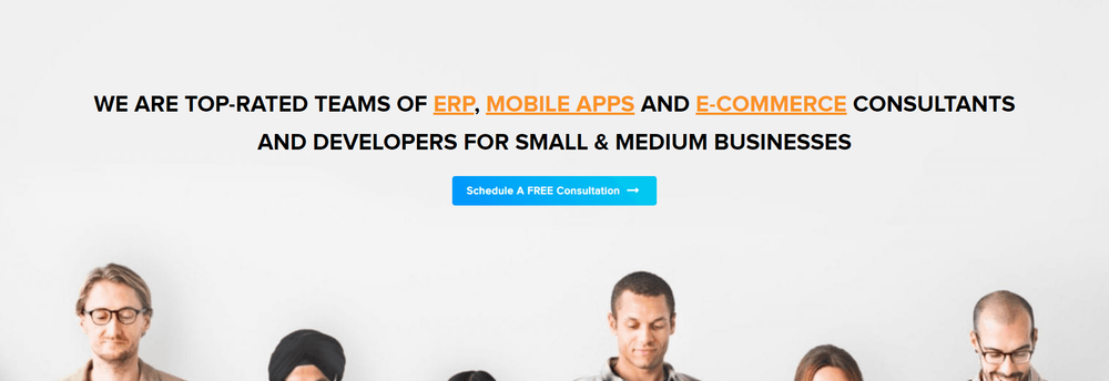 Envertis Software Solutions cover