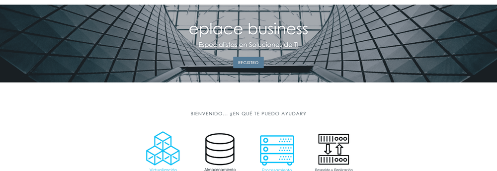 Eplace Business cover