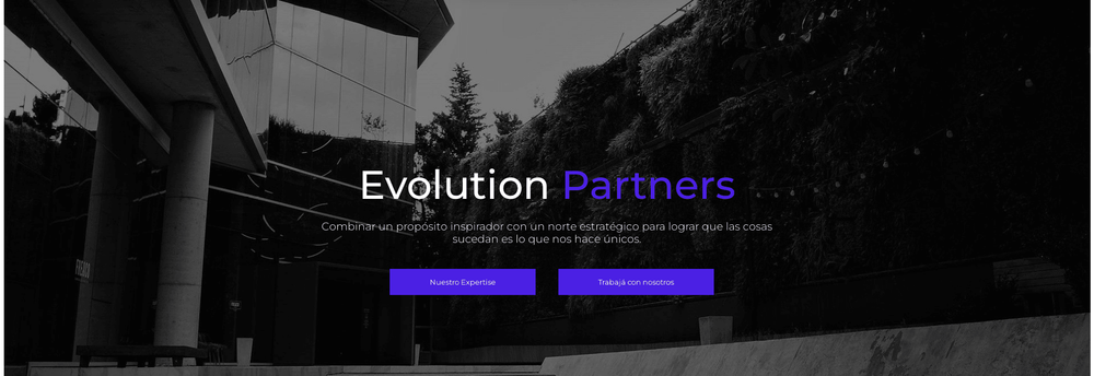 Evolution Partners cover