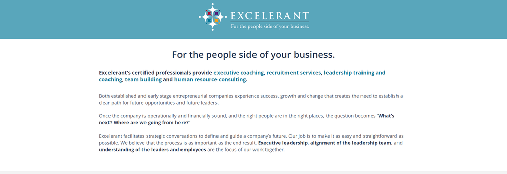 Excelerant cover