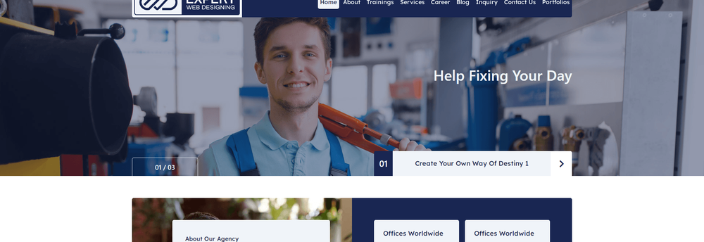 Expert Web Designing cover