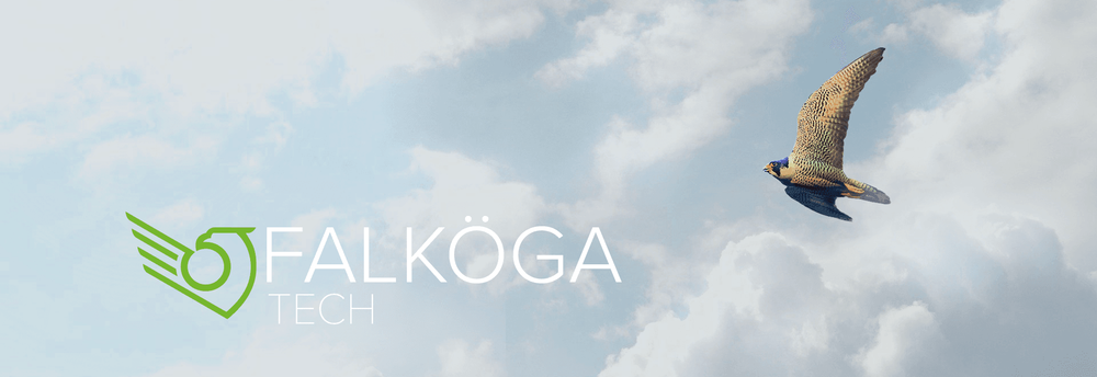 Falköga cover