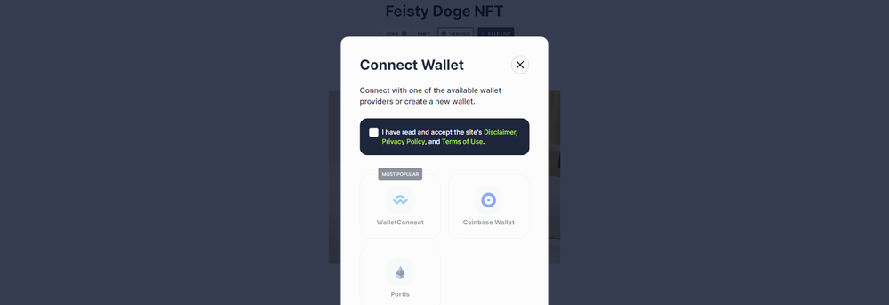 Feisty Doge NFT cover
