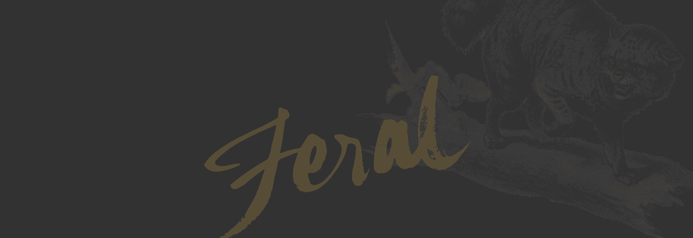 Feral Studio cover