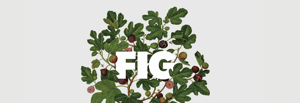 FIG (Formerly Hungry) cover