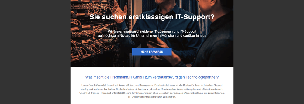 Fischmann.IT cover