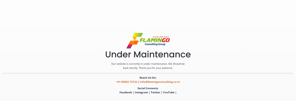 Flamingo Consulting Group cover