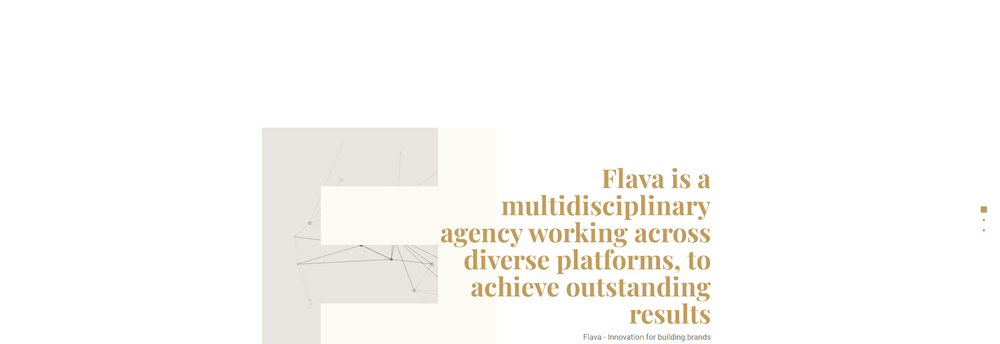 Flava cover