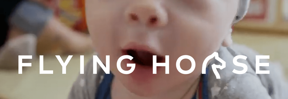 Flying Horse Communication cover