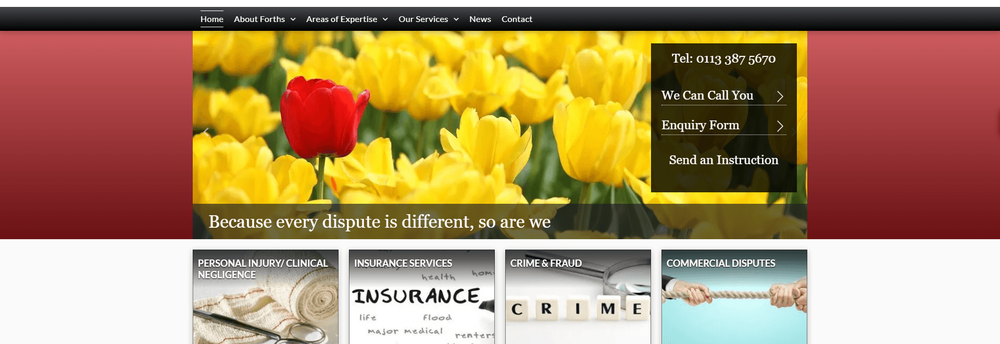 Forths Forensic Accountants cover