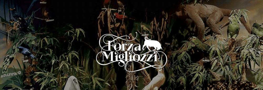 Forza Migliozzi cover