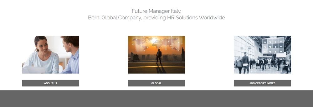 Future Manager cover