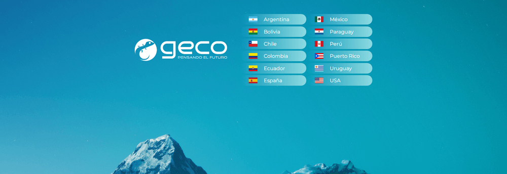 geco | Technology & Services cover