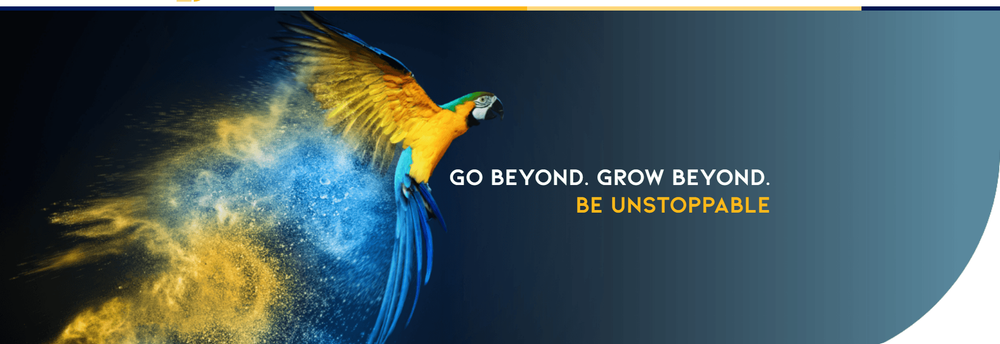 Hall Consulting Group cover