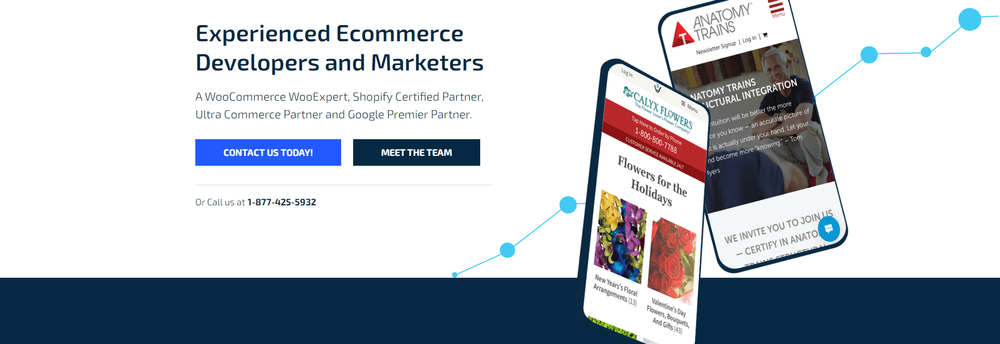 Hall Internet Marketing cover