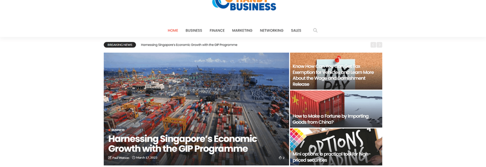 Handy Business cover