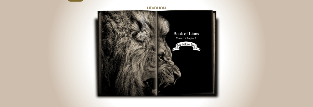 Headlion cover