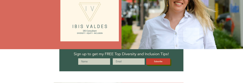 Ibis Valdes Consulting, LLC cover