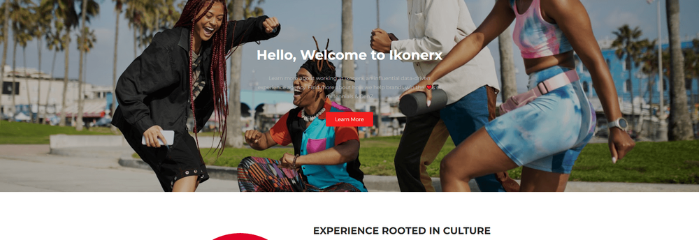 Ikonerx cover