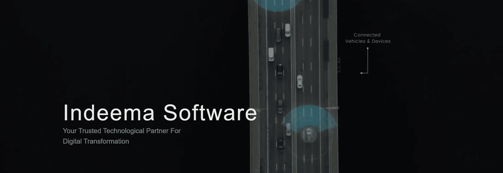 Indeema Software Inc. cover