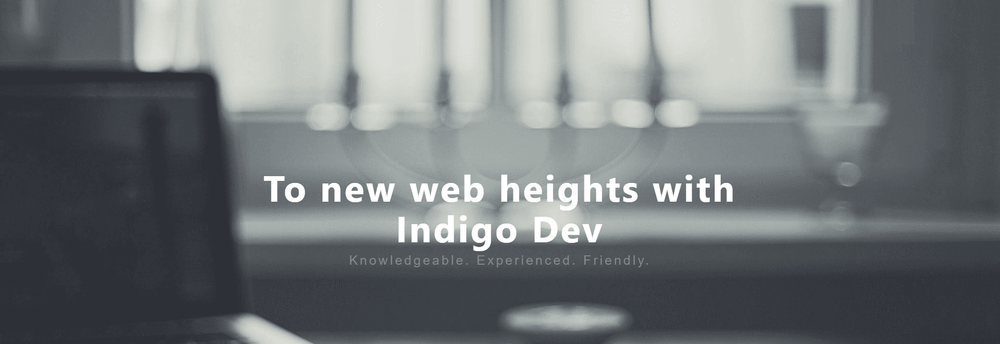INDIGO DEV cover
