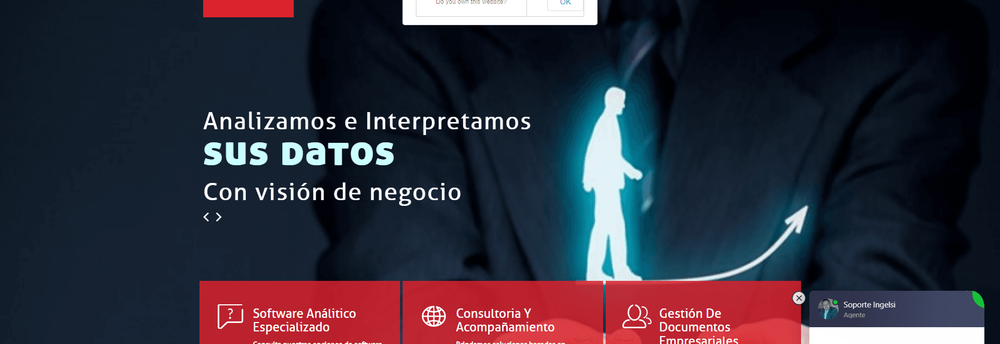 Ingelsi Cia Ltda cover