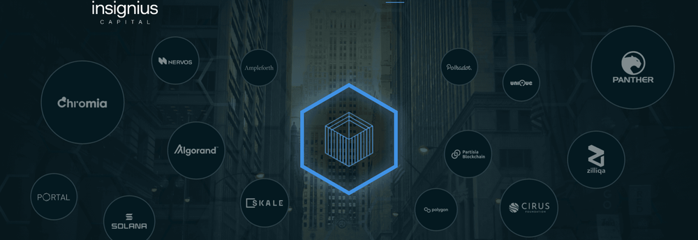Insignius Capital cover