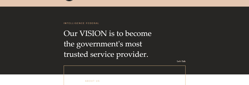 INTELLIGENCE FEDERAL cover