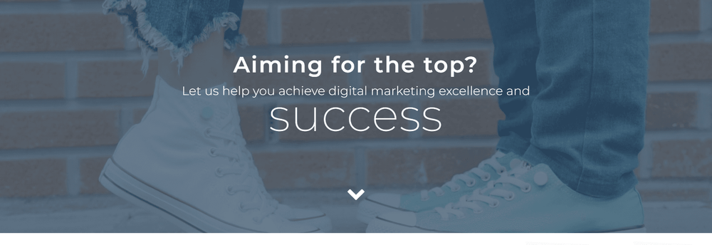 Inter-Dev Web Marketing cover