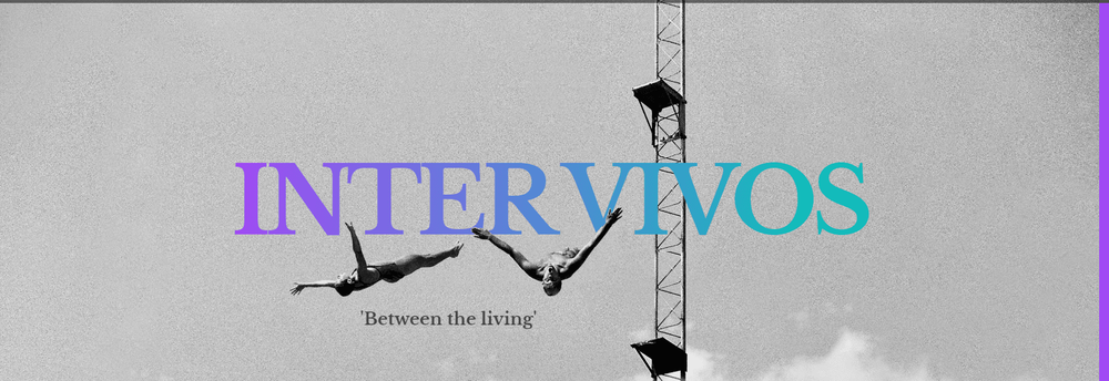 Inter Vivos Digital Marketing cover