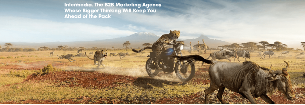 Intermedia Total Marketing Solutions Limited cover