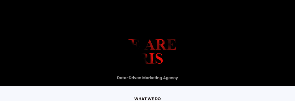 Iris Data-Driven Digital Marketing Agency cover