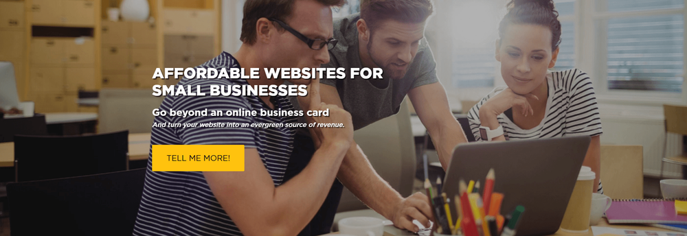 Iron Egg Website Design cover