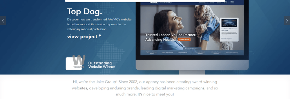 Jake Group cover