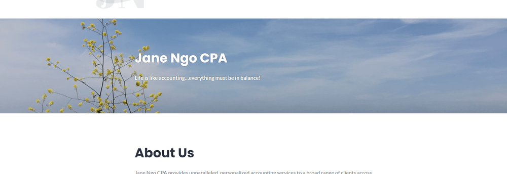 Jane Ngo CPA cover