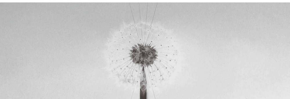 J.O. Agency cover
