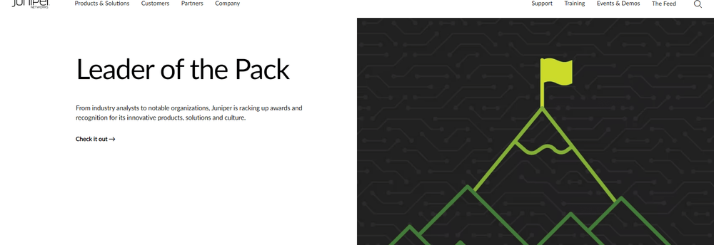 Juniper Networks Italy cover