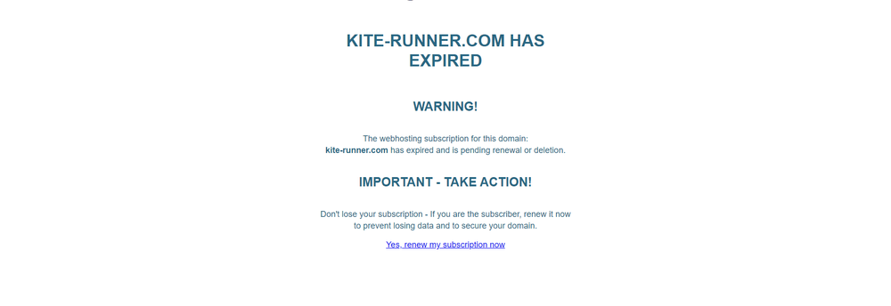 Kite-Runner cover