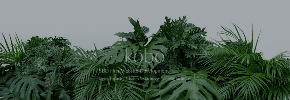 Kobo Design Limited cover