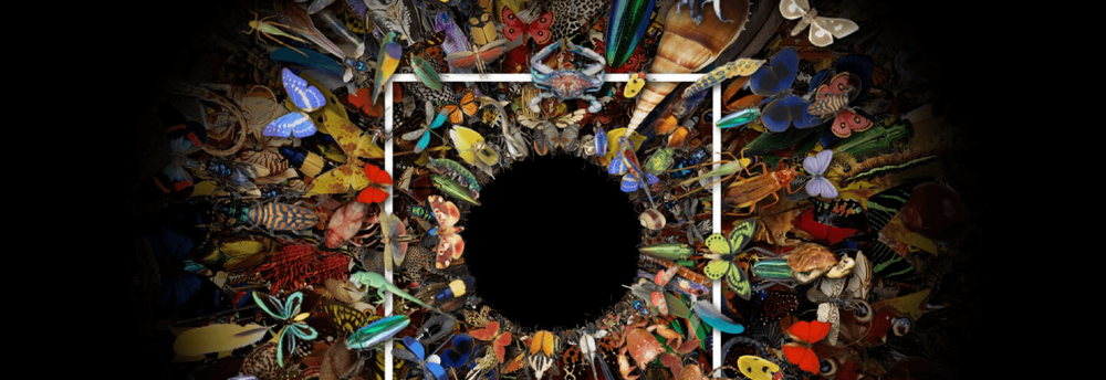 krow group cover