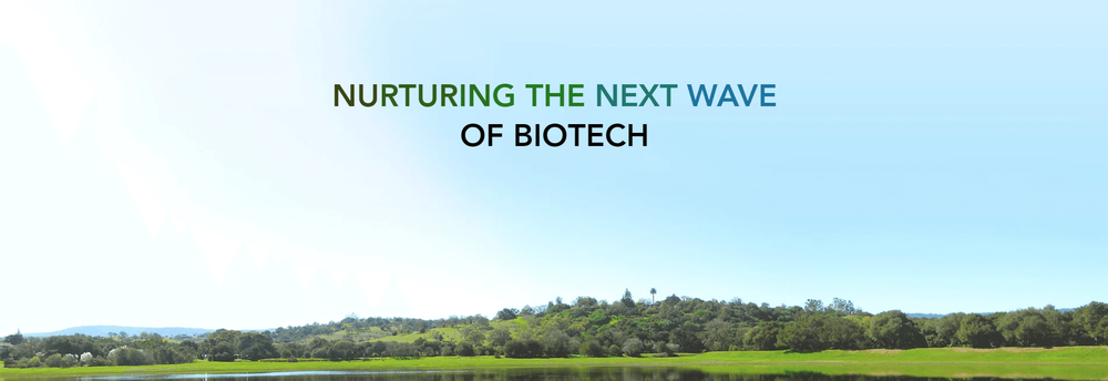 Lagunita Biosciences cover