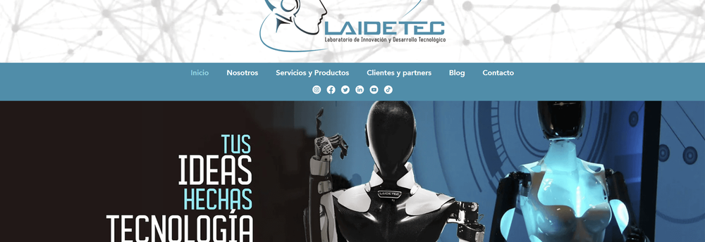 LAIDETEC cover