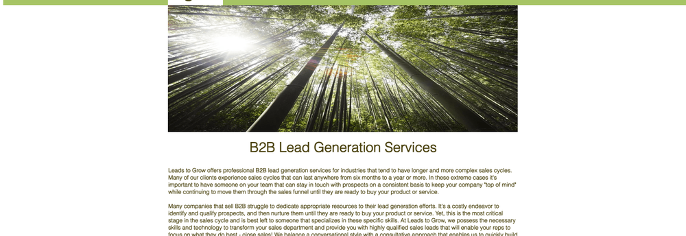 Leads to Grow cover